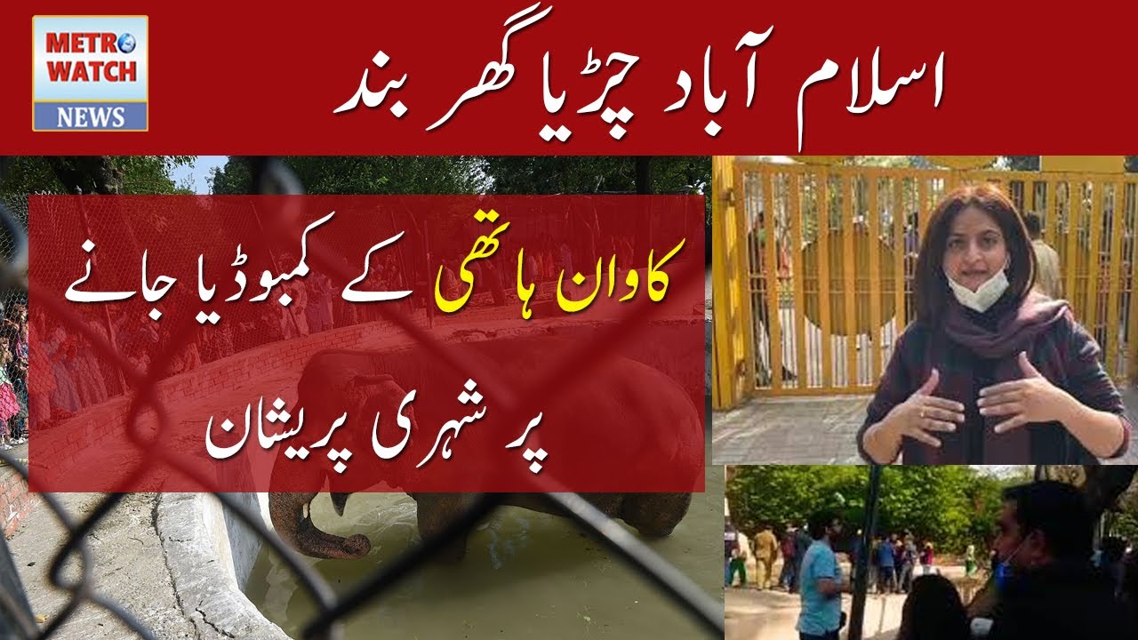 Islamabad Zoo Closed After Going Kavaan Elephent| Citizens Are Worried About It | Metro Watch News