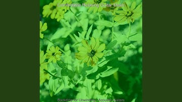 Pulsating Guitar Solos - Vibe for Unwinding