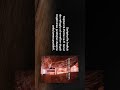 Cʜʀɪsᴛɪɴᴇ Dᴀʀɢ - Întâlnire în Petra