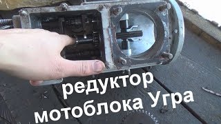 ремонт редуктора мотоблока Угра