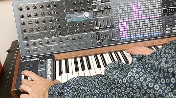 Draw your own LFO with Arturia Matrix Brute