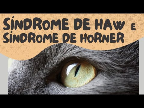 Vídeo: Síndrome De Horner: Causas, Sintomas E Tratamentos