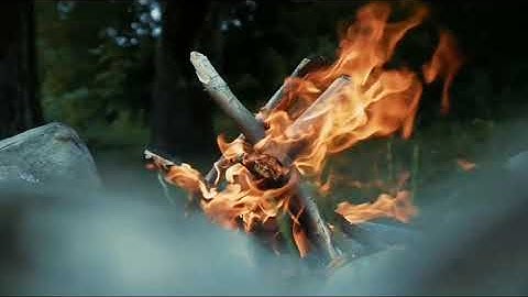 Try Not To Laugh or Grin While Watching Funny Animals cc Compilation #11