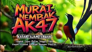 MURAI NEMBAK KASAR TAJAM!! PANCING EMOSI MASTERAN!!