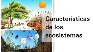 Características generales de los ecosistemas y su aprovechamiento - Ciencias Naturales