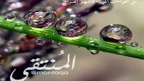 سورة الملك من جامع القاضي بالرياض