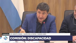 COMISIÓN COMPLETA: DISCAPACIDAD - 25 de abril de 2024 - Diputados Argentina