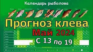 Прогноз клева рыбы на Эту неделю с 13 по 19 Мая 2024 Календарь рыбака на Май Лунный календарь