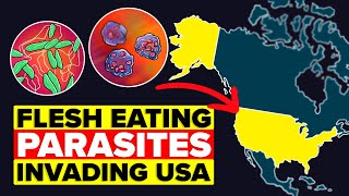 Scientists Warn About Flesh Eating Parasites About to Invade the US