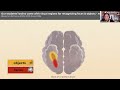 Literacy Development and Reading Skills