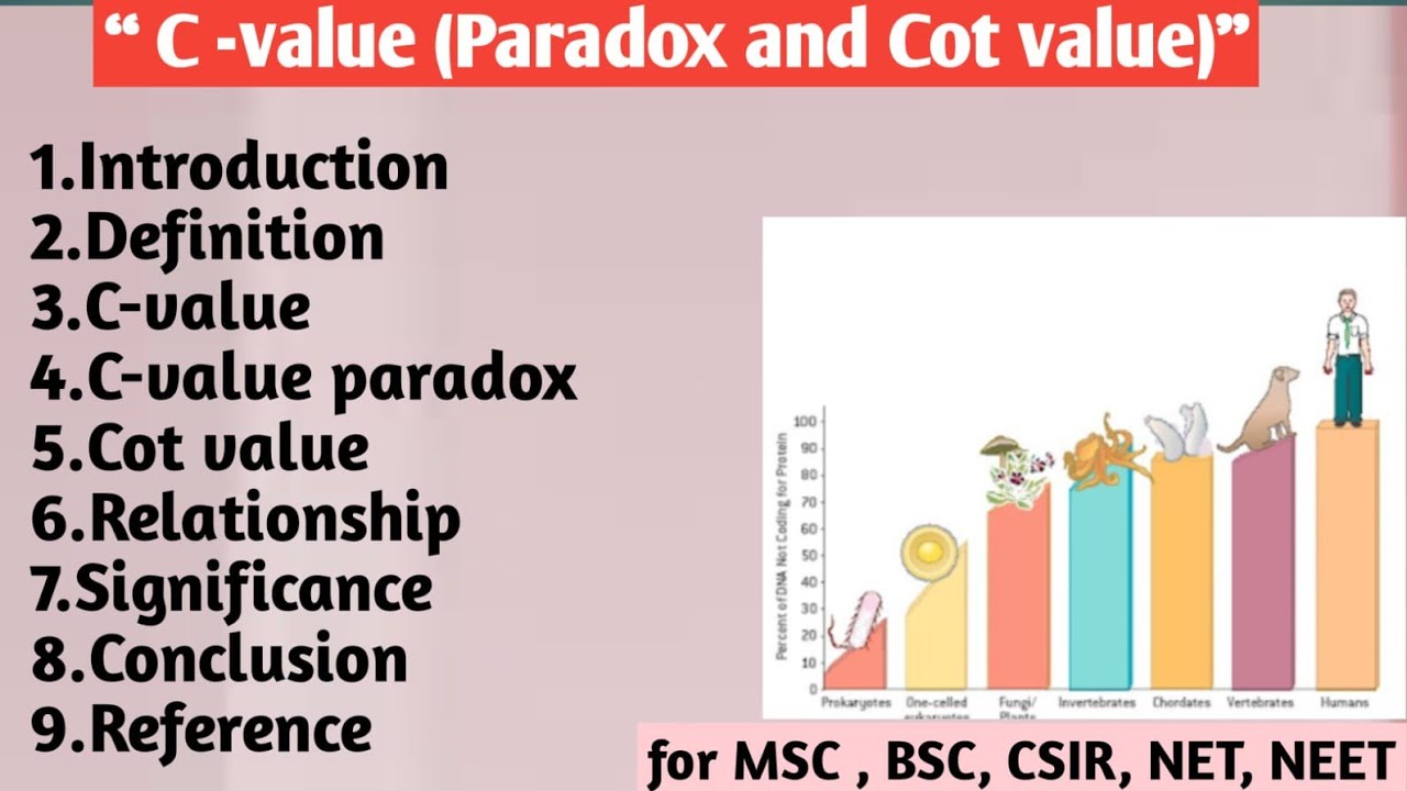 C - value | Paradox and cot value | Relationship | Significance - YouTube