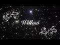 柳宿座 / Willow - Jaylam [Lyrics Video]