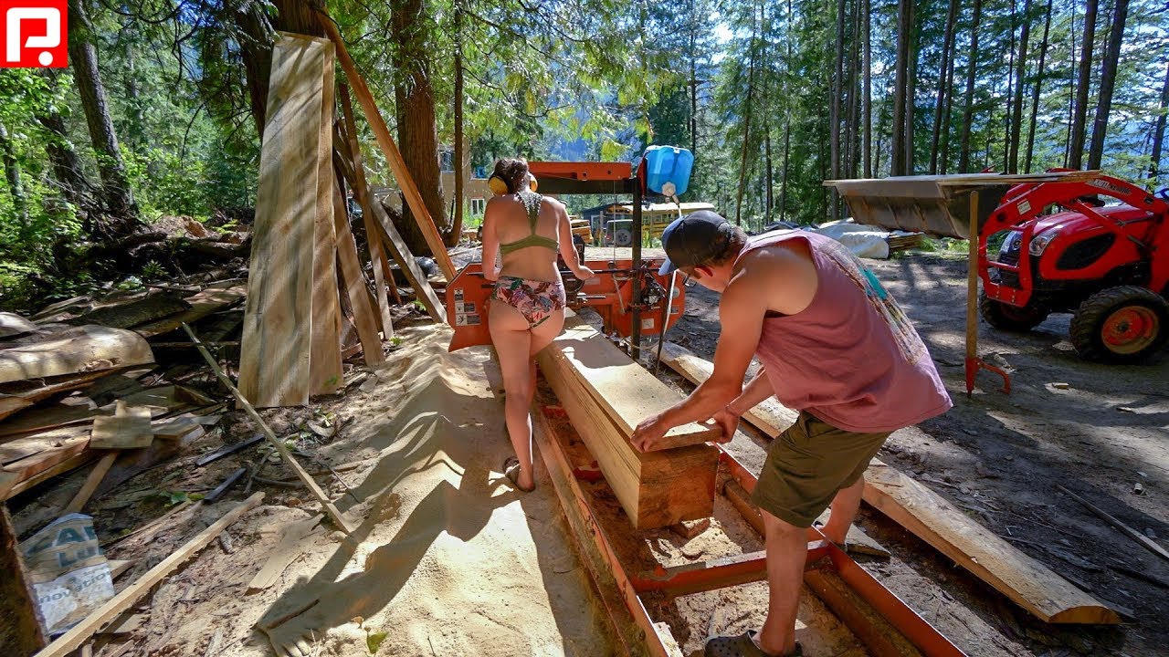 Working Powerful Large Harvesters, Giant Excavators Cut Trees, Fast