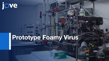 Prototype Foamy Virus Intasomes Assembly and Purification | Protocol Preview