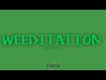 Weeditation official music  kayos ke dir by gazzylyricvisualizer