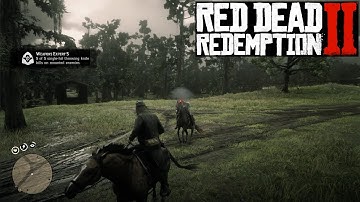 Red Dead Redemption II - Weapons Expert 5: Kill 5 mounted enemies, using one throwing knife per kill