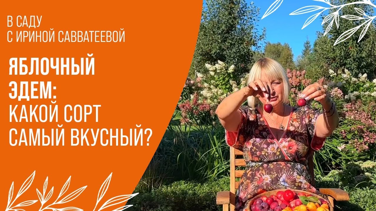 Декоративные Яблони на Вкус: Какие Стоит Посадить?