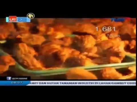 ternak burung puyuh modern 