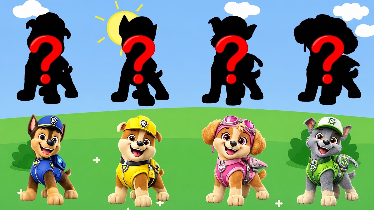 Paw Patrol and Friends Learn Kids Useful Stories for Kids Cartoon Paw Patrol | Special Episodes