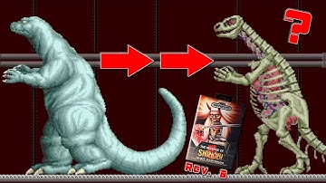 The Many Revisions of The Revenge of Shinobi - A Collector