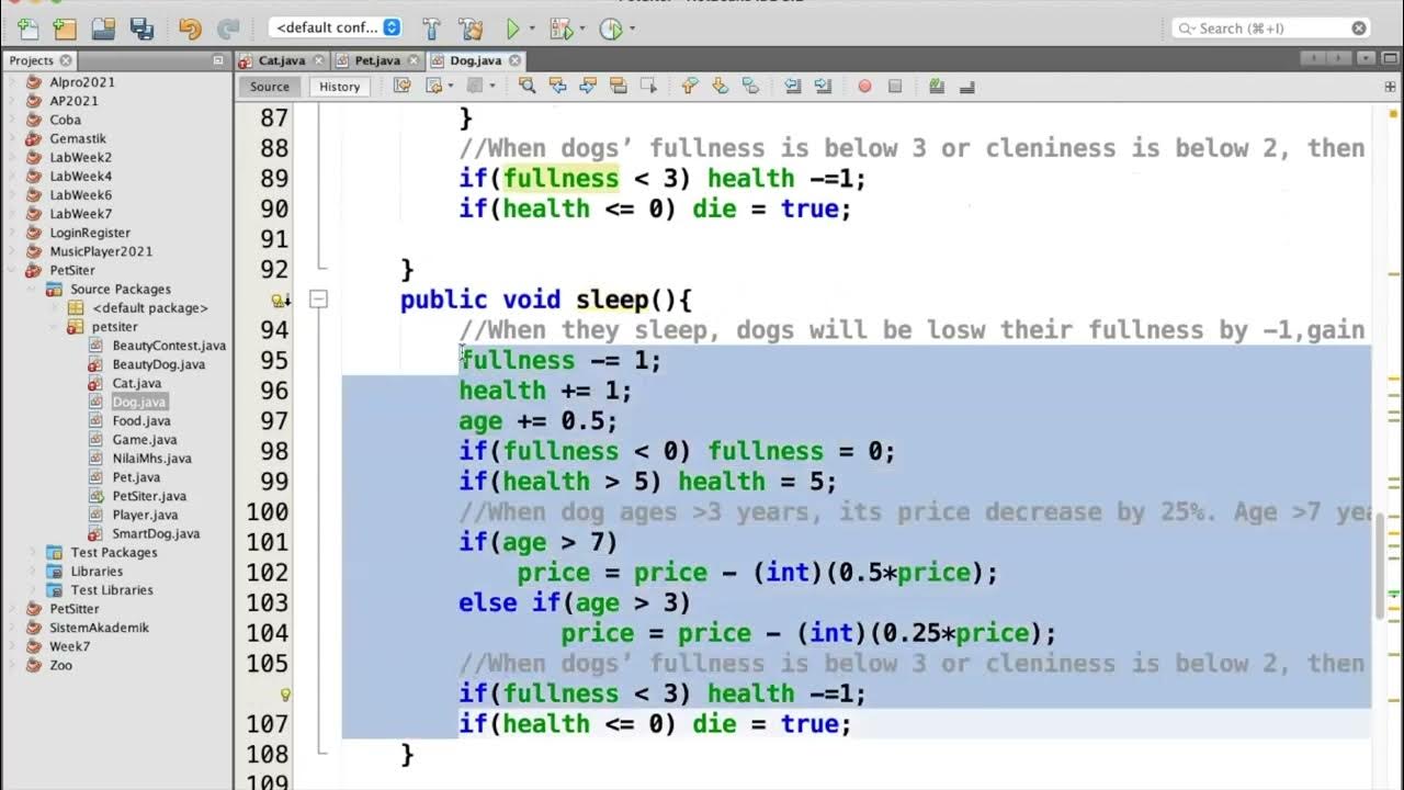 When We Can Have a Cat in PetSitter - Code Guidance | Object Oriented ...