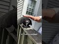 毎日かわいい動物をひとつ知ろう