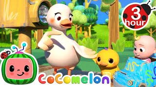 Practice Crossing The Street Safe Traffic Song | Cocomelon  Nursery Rhymes | Fun Cartoons For Kids