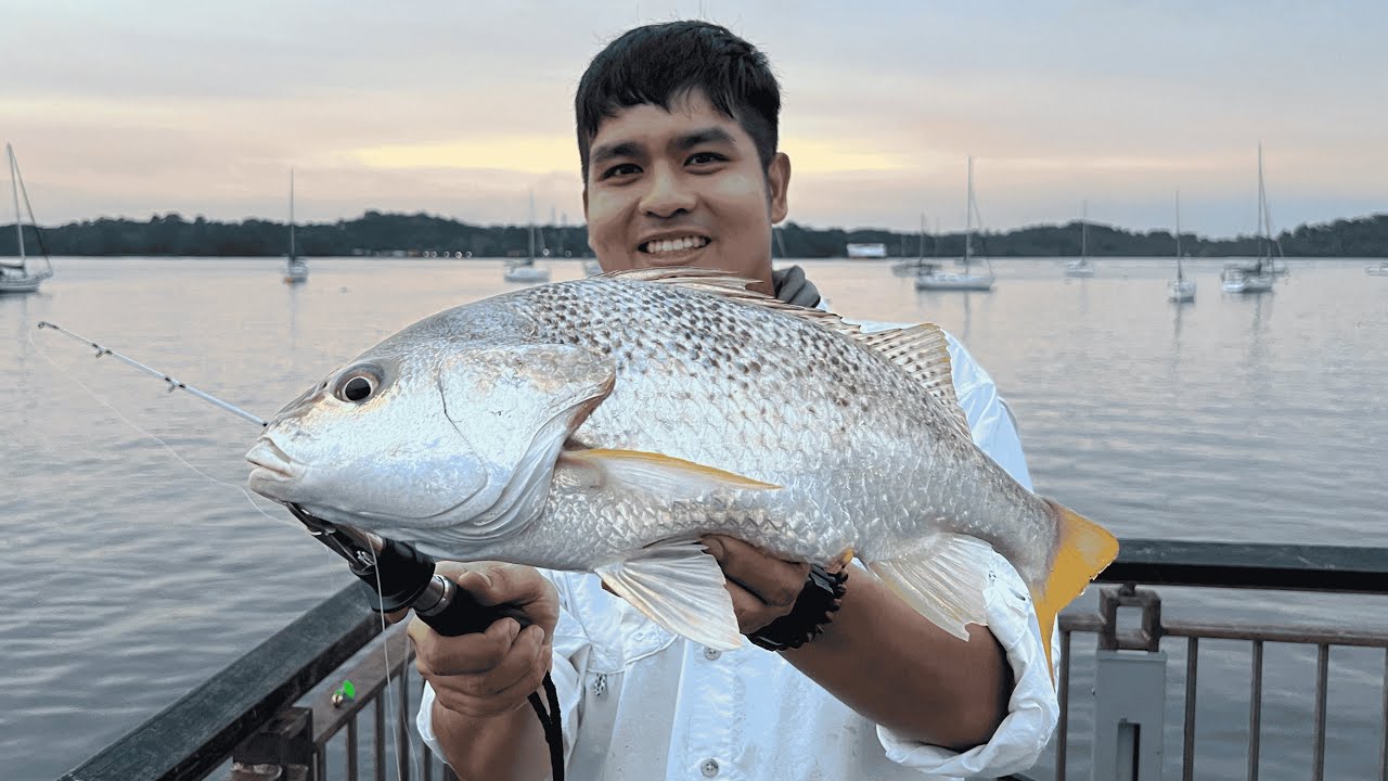 Рыбалка на набережной Чанги-Пойнт — серфинг
