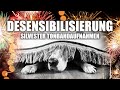Silvester Training für Hunde ► Desensibilisierung von Geräuschen ► Tonband Feuerwerk Hundetraining Mp3 Song