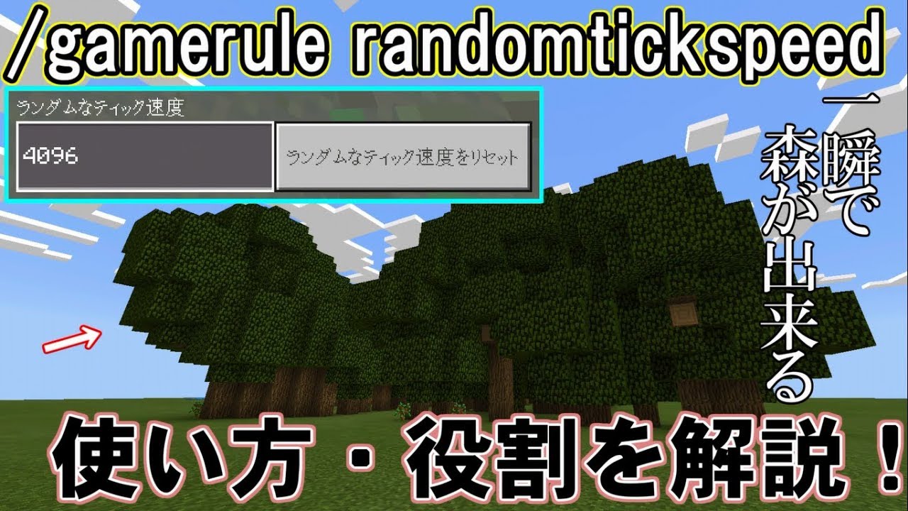 旧マインクラフトpe Gamerule Randomtickspeedの使い方や役割を解説 旧マイクラpeの新コマンド コマンド紹介 Minecraft Summary マイクラ動画