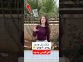 كواليس جديد اكسبلور السعودية الاردن الشيف رنيم