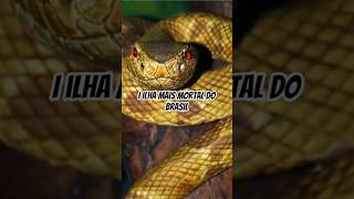 A Ilha mais perigosa do Brasil.