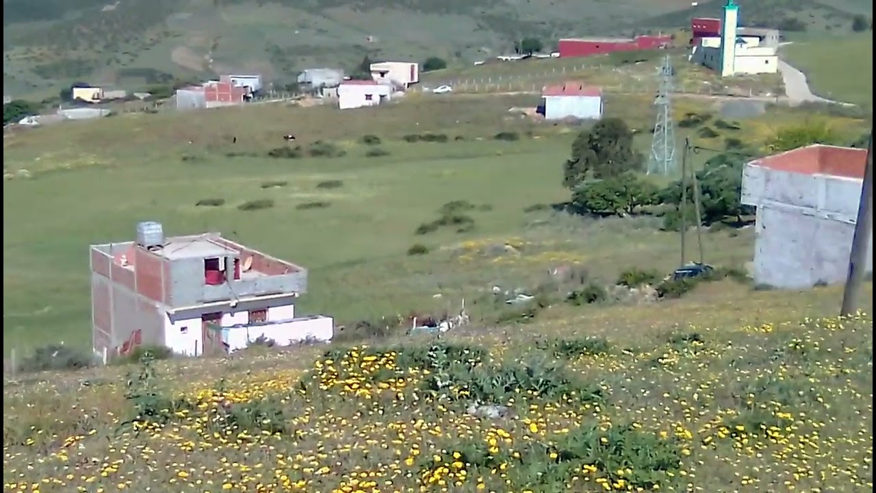 زينه تبارك الله