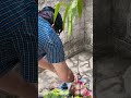 शिवलिंग पंचामृत से अभिषेक चन्द्रमा को बलवान करता है#Viral #ShivLing #Abhishek #TrendingShorts #Astro
