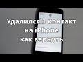 Удалил контакт на iPhone – как вернуть