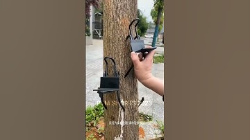 Tree Climbing device | #youtubeshorts #viral #shortsvideo #shorts #gadgets