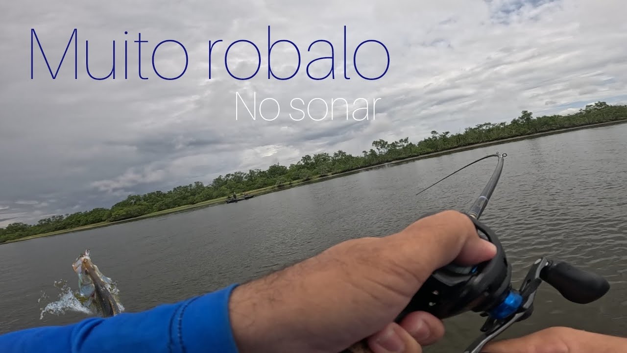 O sonar acusou e foi UM PEIXE ATRÁS DO OUTRO!