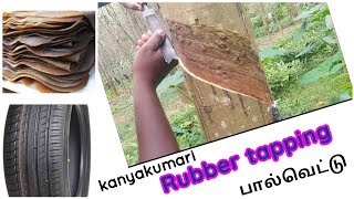 Rubber tapping/ Rubber sheet making process/ tamil. ரப்பர் மரம்/ ரப்பர் பால்வெட்டு/ குமரி....
