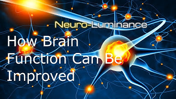 How Brain Function Can Be Improved - SPECT