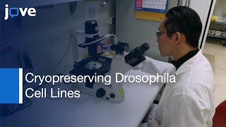 Thawing, Culturing and Cryopreserving Drosophila Cell Lines
