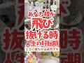 【人生が飛び抜けた時‼️】あなた様には信じられない事が起きてる⁉️何が大切なのかを知る時が来た‼️#占い #スピリチュアル #言霊 #タロット #守護霊様 #レイキ#宇宙の法則 #引き寄せの法則