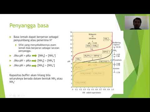 Video: Pada titik isoelektrik yang dimiliki asam amino?