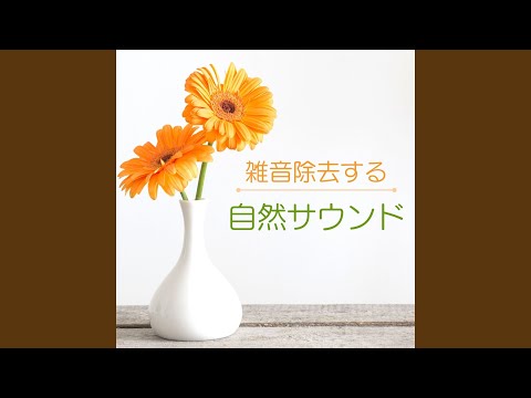 Sleduj 海のノイズ na YouTube