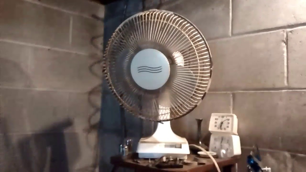 Fan-Shop Fan-Shop