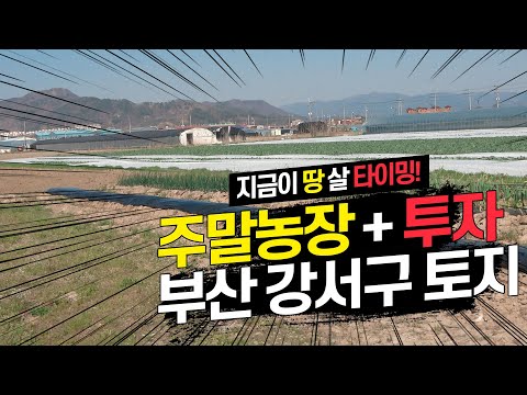 [부동산 매물 12호] 시세보다 저렴한 <strong>지금</strong> 투자하기 딱 좋은 부산시 강서구 죽림동 토지매매 / 주말농잠 <strong>겸</strong> 투자