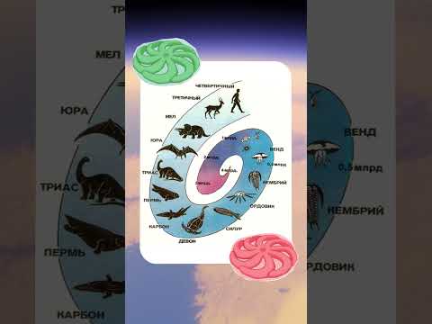 Какую жизнь могут обнаружить на поверхности Титана? #астрономия #космос #владимирсурдин #титан #nasa