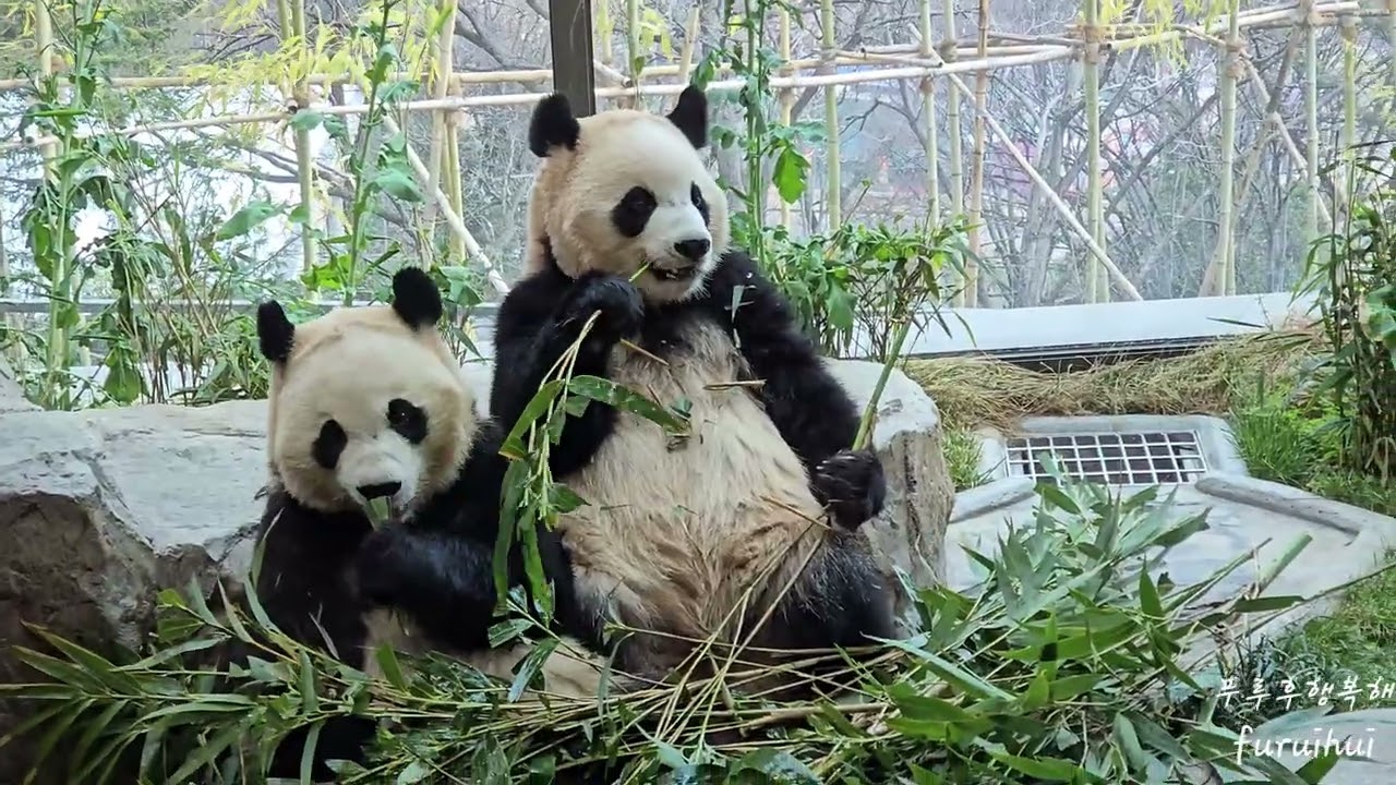 2026.3.9. 13:50 냠냠타임