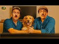 الفيلم الكوميدي صاحب صاحبه كامل بطولة محمد سلام و حمزة العيلي 