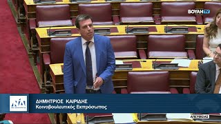 Ομιλία του Δημήτρη Καιρίδη στην Ολομέλεια της Βουλής | 23.07.2025