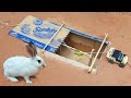 Build Underground Paper Box Rabbit Trap make from DIY Wooden Car